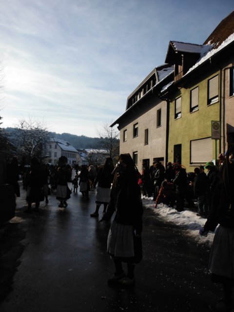 Umzug_Hausach_0077